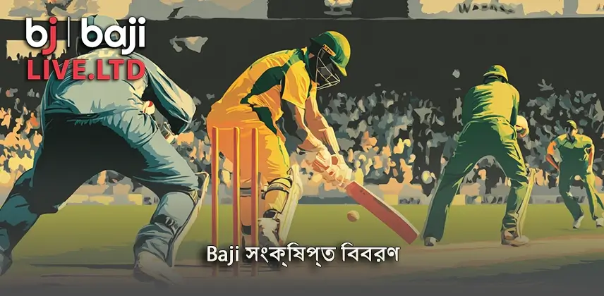 Baji সঙ্কলন করুন Baji সংক্ষিপ্ত বিবরণ